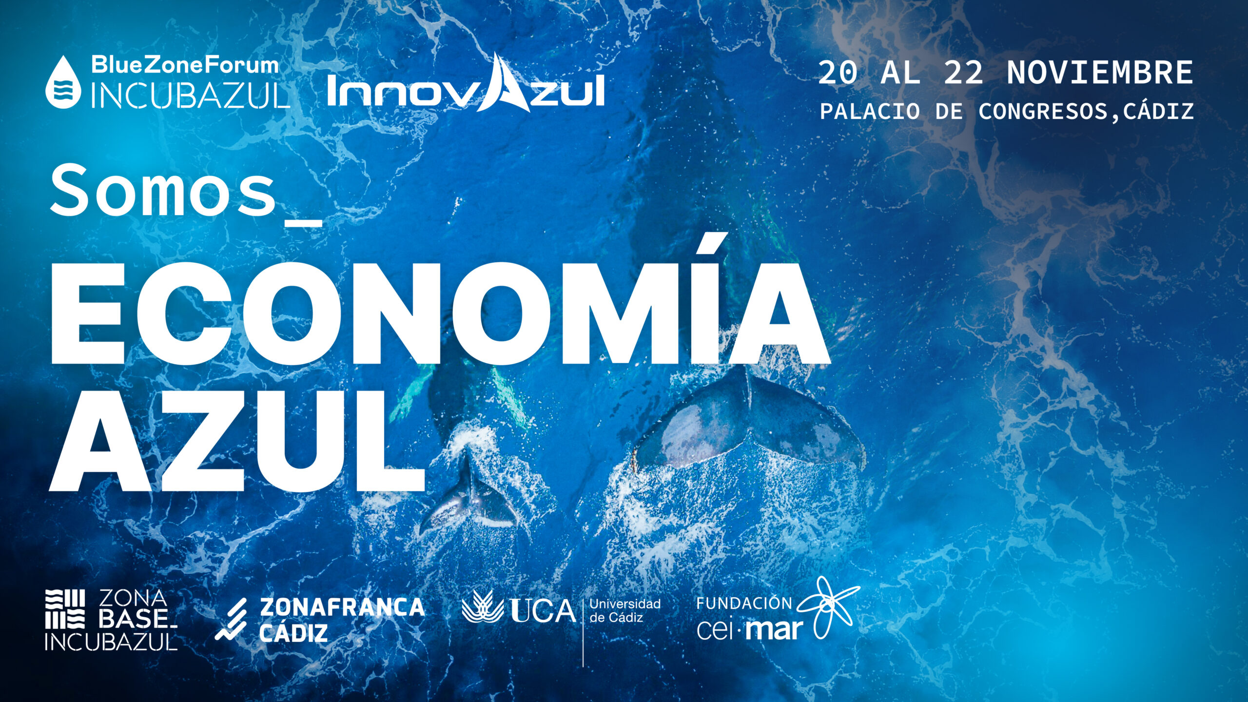 The Blue Zone Forum-Innovazul 2024 opens tomorrow with more